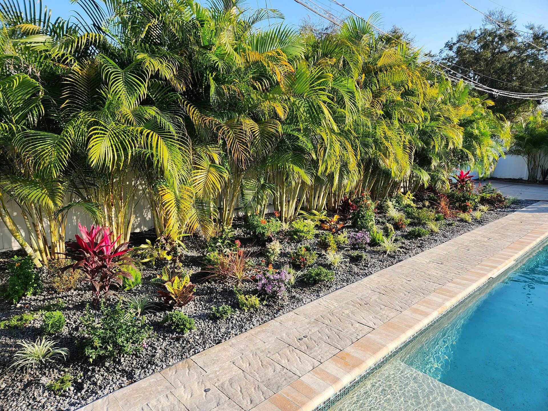 A finished poolside garden bed in St. Petersburg with crotons, cordyline color and black river rock